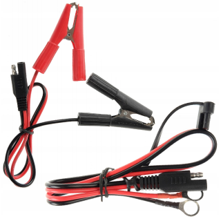 PROSTOWNIK AUTOMATYCZNY VOLT POLSKA 10A 12/24V LCD 2