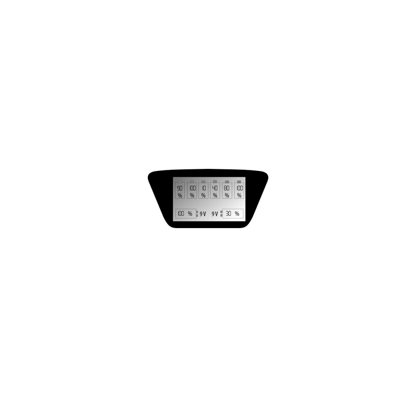 Ładowarka procesorowa do akumulatorków AA / AAA / C / D / 6F22 / 9V everActive NC-900U