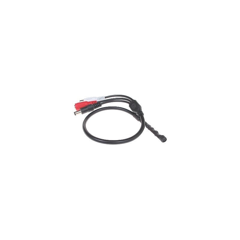 MODUŁ FONII SM-1/DCPLUG