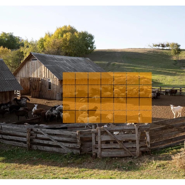 Kamera Ip Imou Cell Pt Kit 3Mp Bateryjna Z Panelem Solarnym