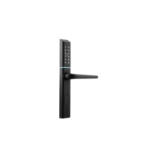 KLAMKA Z KONTROLEREM DOSTĘPU "EURA" ELH-25H4 black wąska, szyfrator, czytnik Mifare 13,56 MHz, czytnik biometryczny, 72-92 mm, I